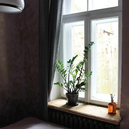 Auberge de jeunesse Art